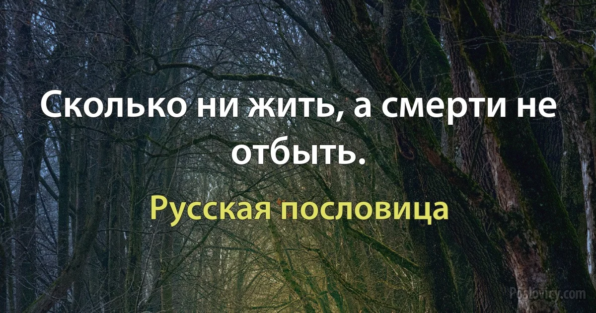 Сколько ни жить, а смерти не отбыть. (Русская пословица)