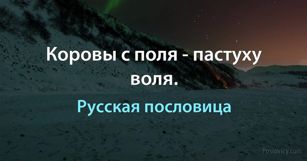 Коровы с поля - пастуху воля. (Русская пословица)