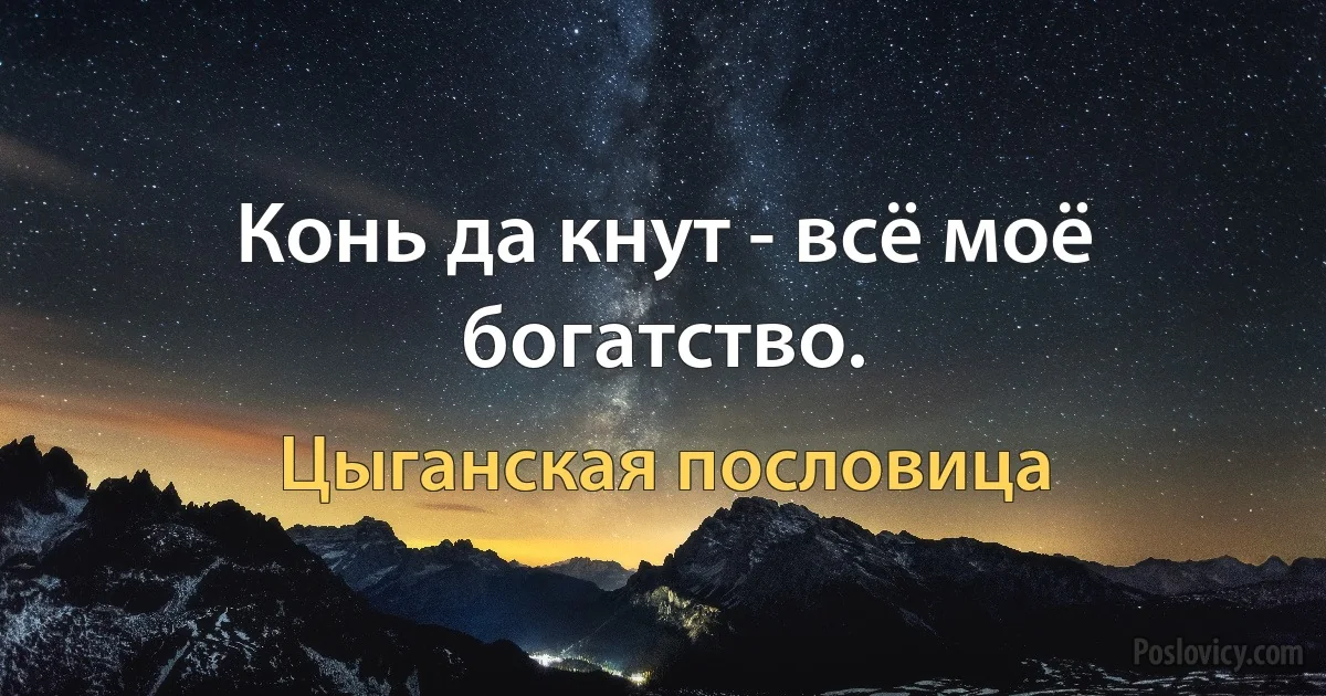 Конь да кнут - всё моё богатство. (Цыганская пословица)