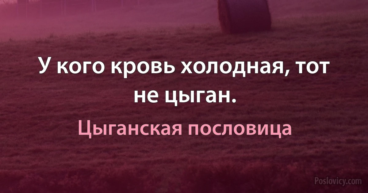 У кого кровь холодная, тот не цыган. (Цыганская пословица)