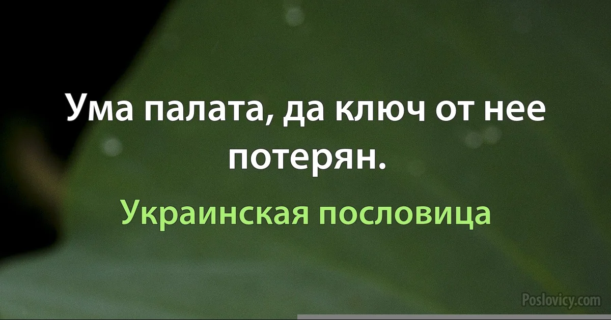 Ума палата, да ключ от нее потерян. (Украинская пословица)