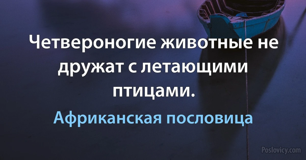 Четвероногие животные не дружат с летающими птицами. (Африканская пословица)