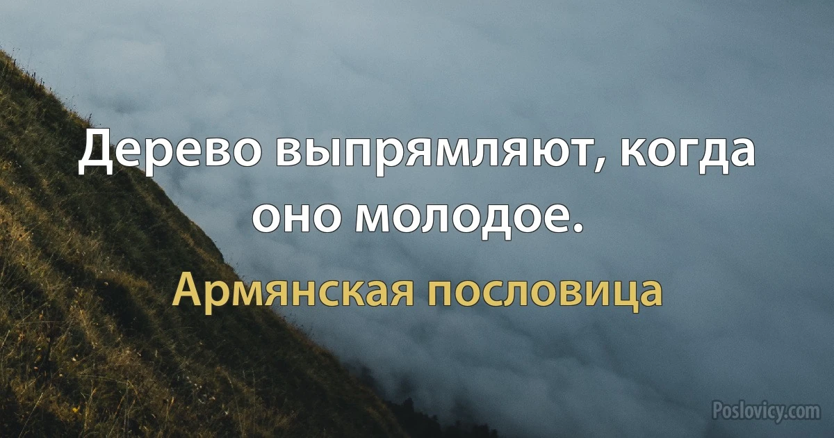 Дерево выпрямляют, когда оно молодое. (Армянская пословица)