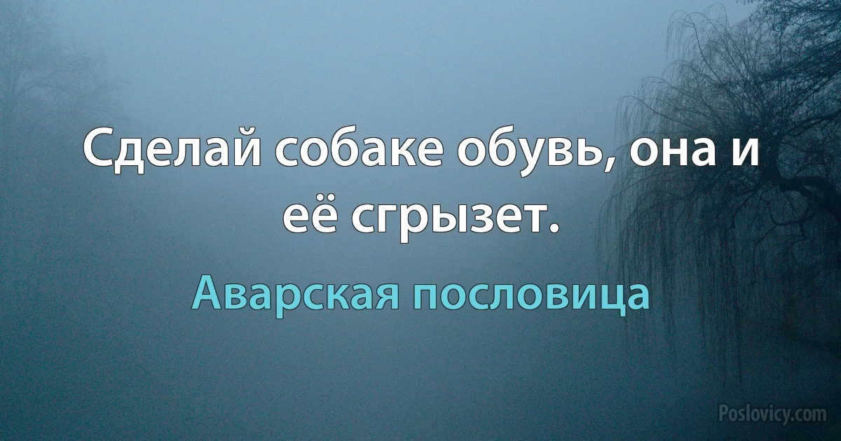 Сделай собаке обувь, она и её сгрызет. (Аварская пословица)