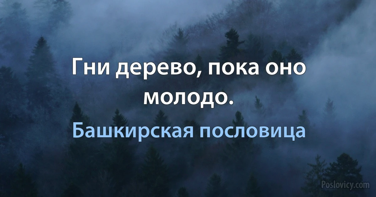 Гни дерево, пока оно молодо. (Башкирская пословица)