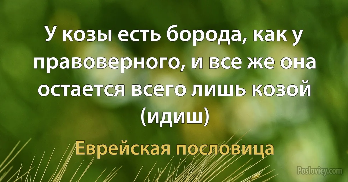 У козы есть борода, как у правоверного, и все же она остается всего лишь козой (идиш) (Еврейская пословица)