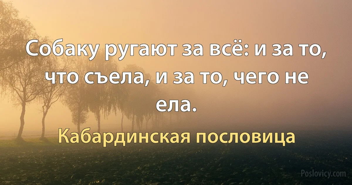 Собаку ругают за всё: и за то, что съела, и за то, чего не ела. (Кабардинская пословица)