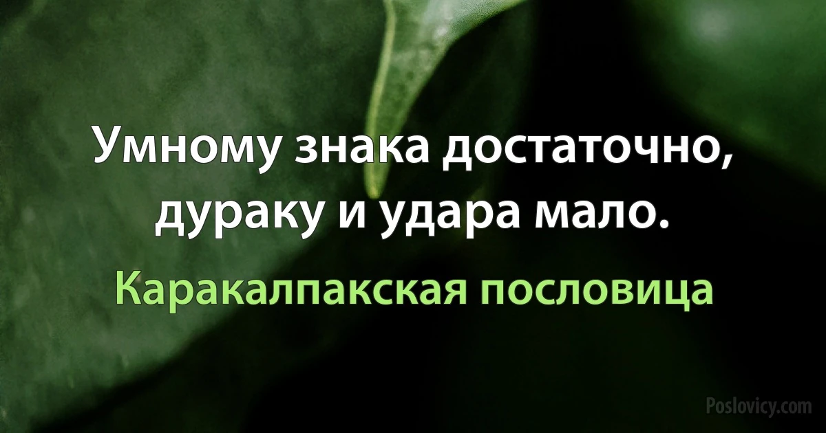 Умному знака достаточно, дураку и удара мало. (Каракалпакская пословица)