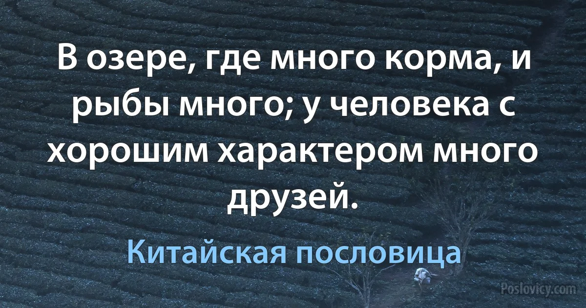 В озере, где много корма, и рыбы много; у человека с хорошим характером много друзей. (Китайская пословица)