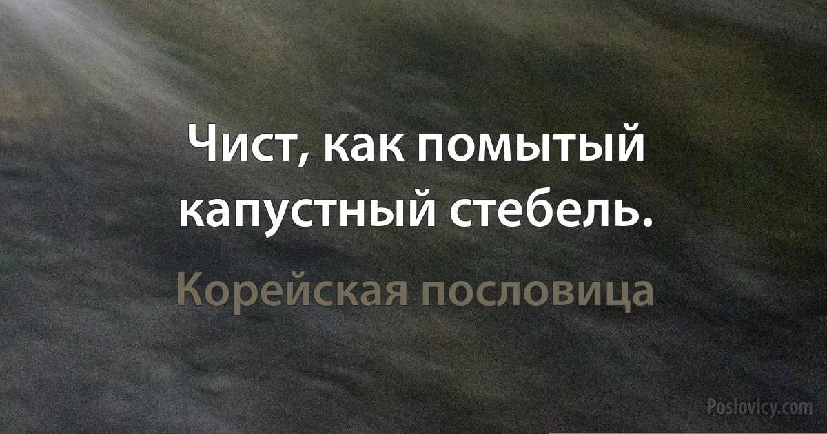 Чист, как помытый капустный стебель. (Корейская пословица)