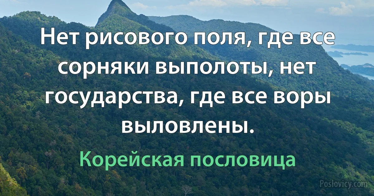 Нет рисового поля, где все сорняки выполоты, нет государства, где все воры выловлены. (Корейская пословица)