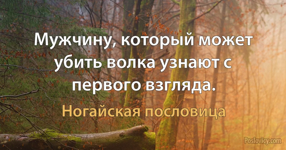 Мужчину, который может убить волка узнают с первого взгляда. (Ногайская пословица)