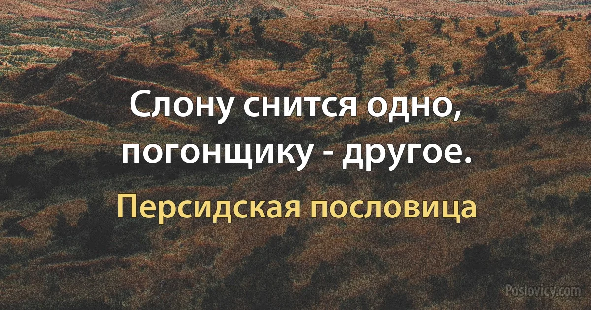 Слону снится одно, погонщику - другое. (Персидская пословица)