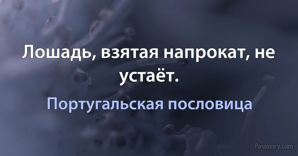 Лошадь, взятая напрокат, не устаёт. (Португальская пословица)