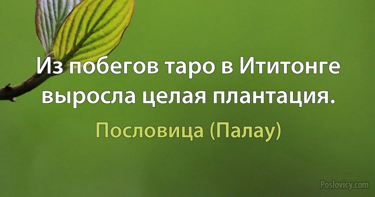 Из побегов таро в Ититонге выросла целая плантация. (Пословица (Палау))