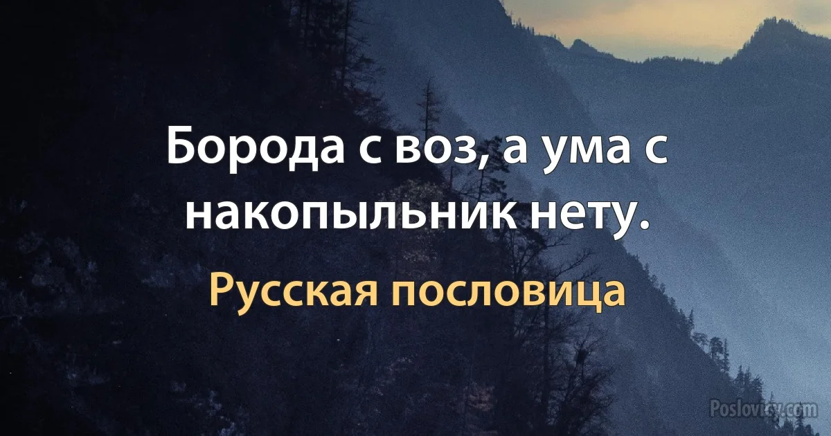 Борода с воз, а ума с накопыльник нету. (Русская пословица)