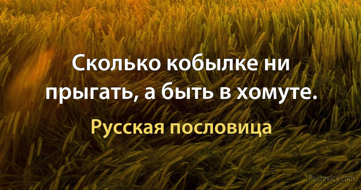 Сколько кобылке ни прыгать, а быть в хомуте. (Русская пословица)