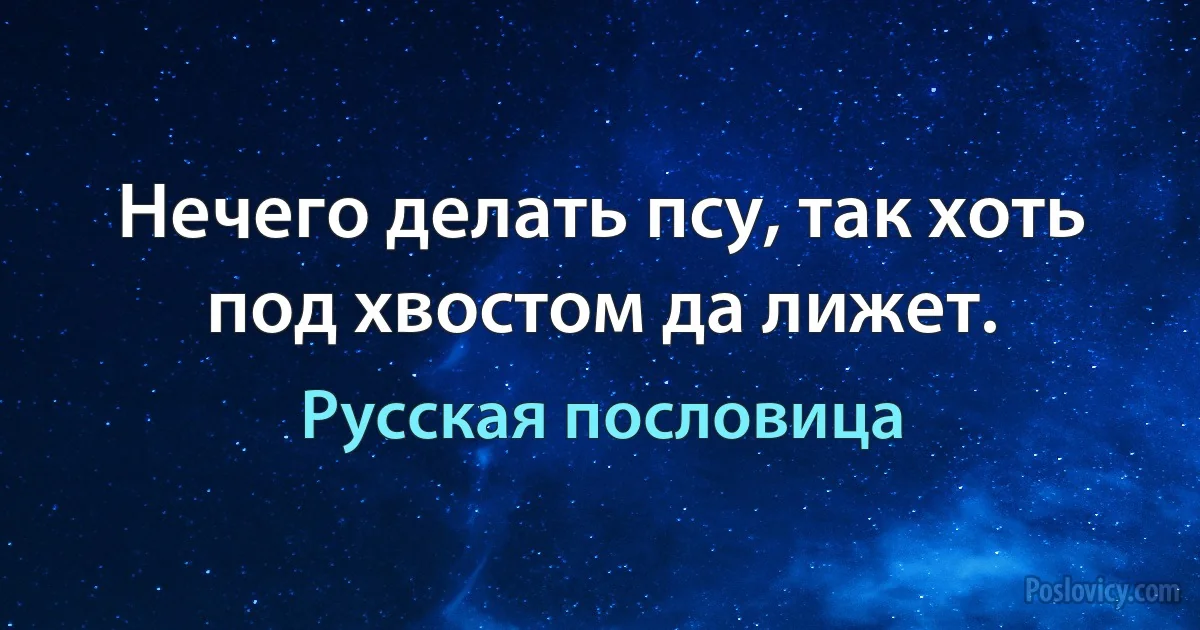 Нечего делать псу, так хоть под хвостом да лижет. (Русская пословица)