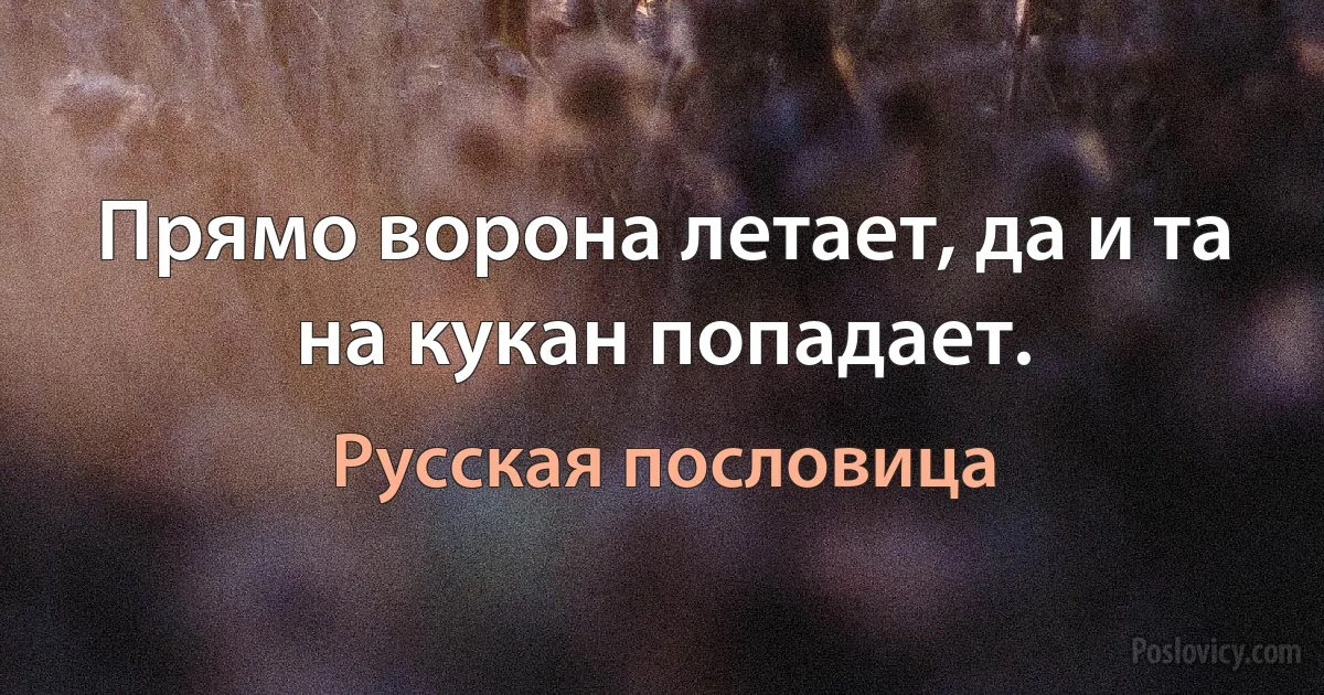 Прямо ворона летает, да и та на кукан попадает. (Русская пословица)