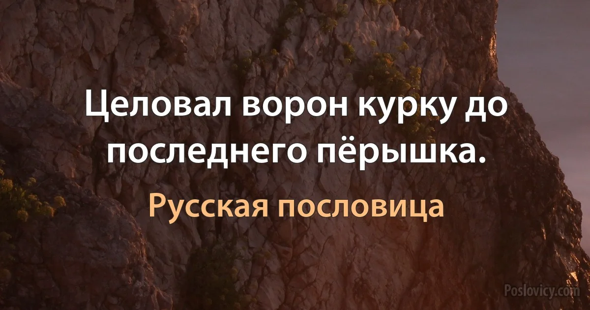 Целовал ворон курку до последнего пёрышка. (Русская пословица)