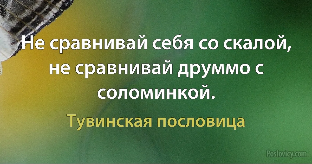 Не сравнивай себя со скалой, не сравнивай друммо с соломинкой. (Тувинская пословица)