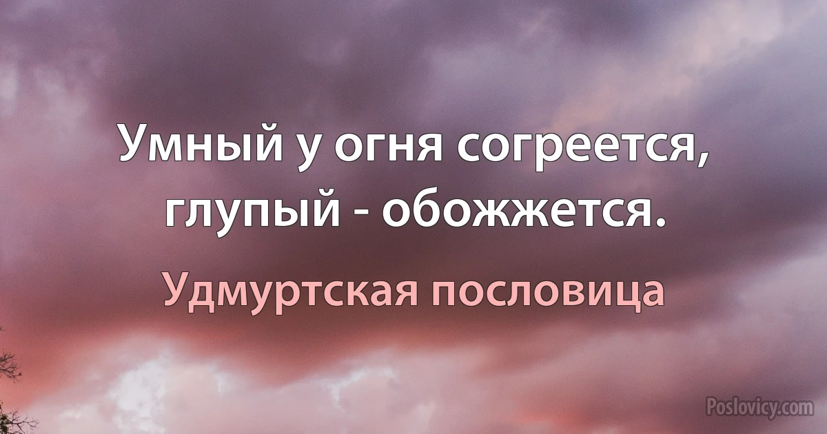 Умный у огня согреется, глупый - обожжется. (Удмуртская пословица)