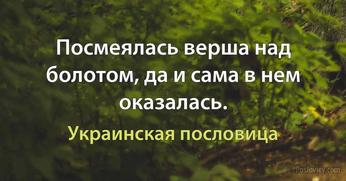 Посмеялась верша над болотом, да и сама в нем оказалась. (Украинская пословица)