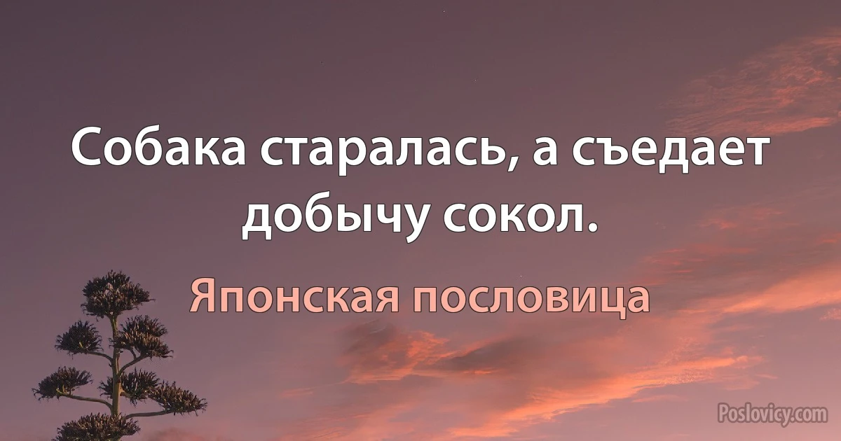 Собака старалась, а съедает добычу сокол. (Японская пословица)