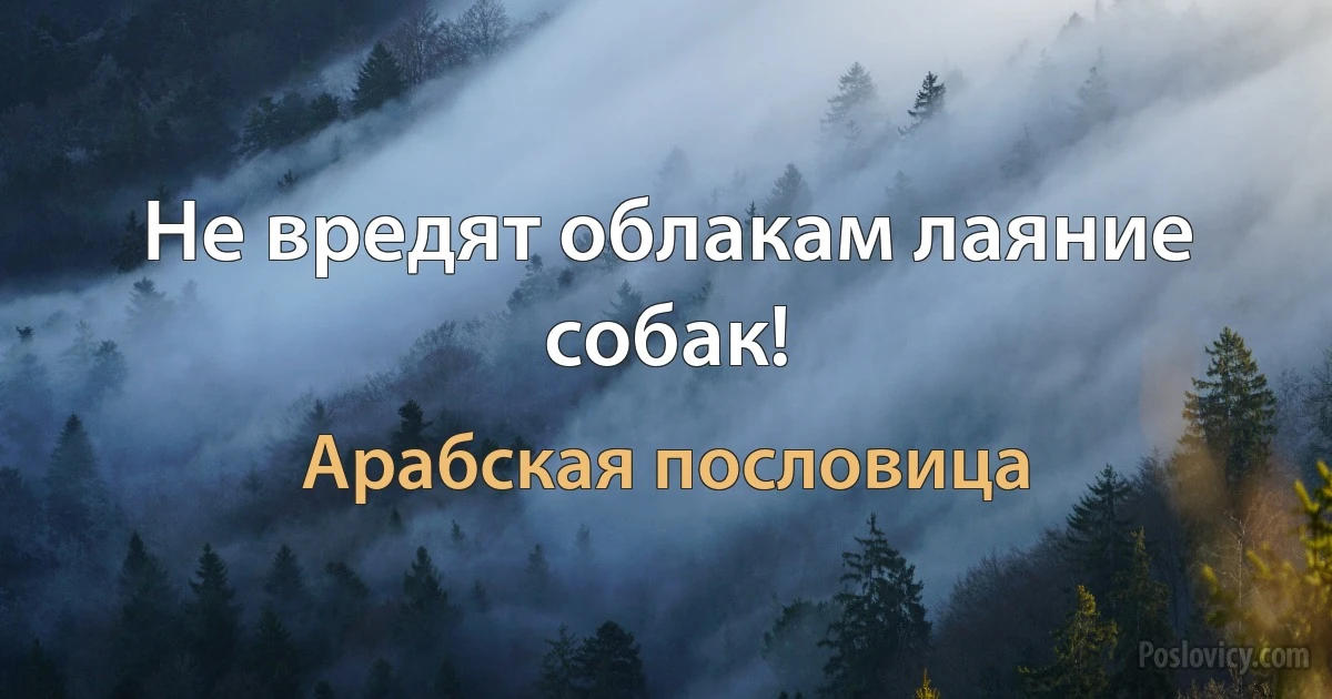 Не вредят облакам лаяние собак! (Арабская пословица)