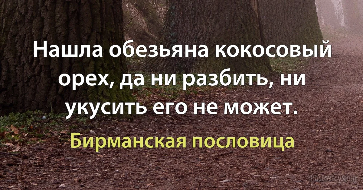 Нашла обезьяна кокосовый орех, да ни разбить, ни укусить его не может. (Бирманская пословица)