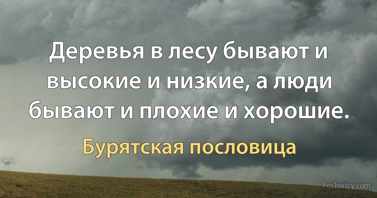 Деревья в лесу бывают и высокие и низкие, а люди бывают и плохие и хорошие. (Бурятская пословица)