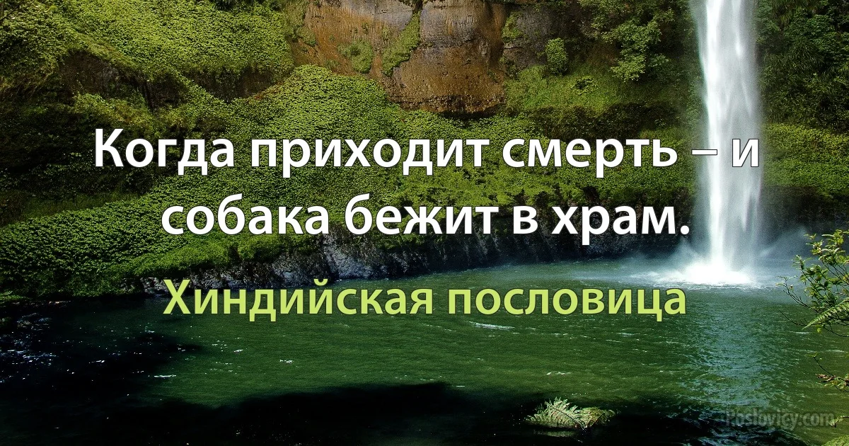 Когда приходит смерть – и собака бежит в храм. (Хиндийская пословица)