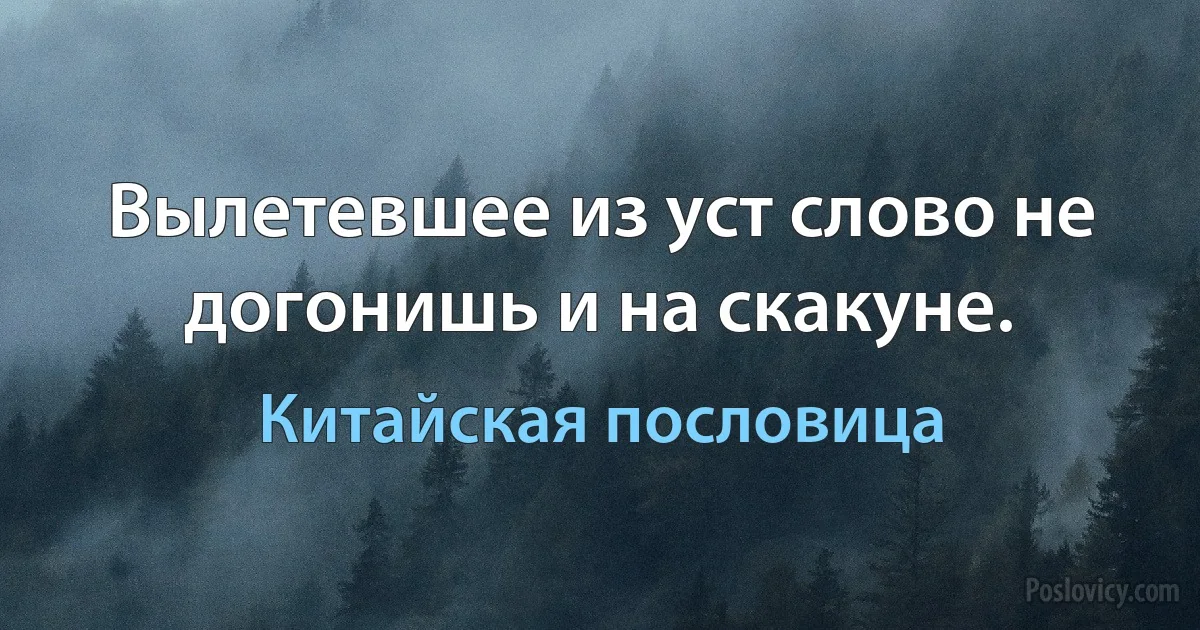 Вылетевшее из уст слово не догонишь и на скакуне. (Китайская пословица)