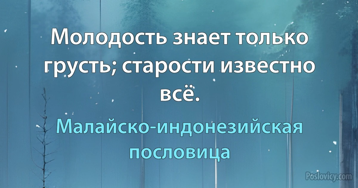 Молодость знает только грусть; старости известно всё. (Малайско-индонезийская пословица)