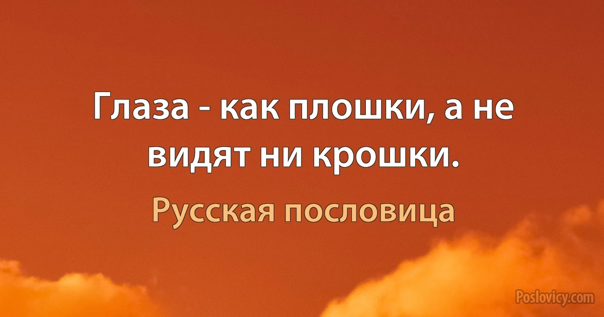 Глаза - как плошки, а не видят ни крошки. (Русская пословица)