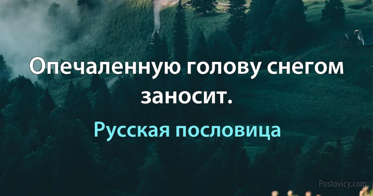 Опечаленную голову снегом заносит. (Русская пословица)