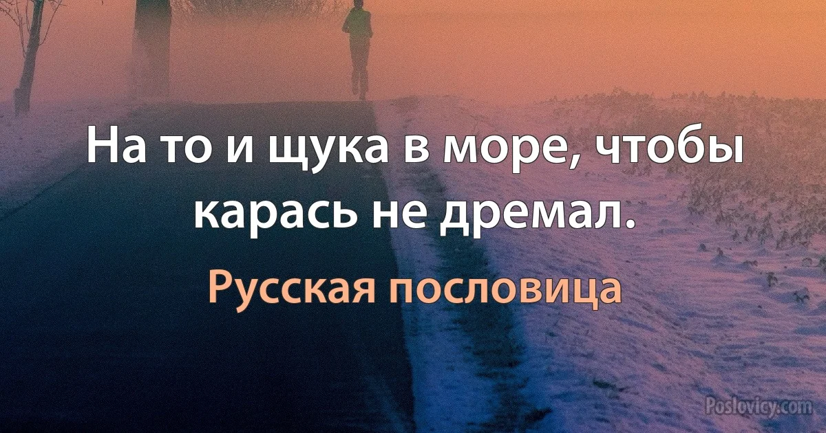 На то и щука в море, чтобы карась не дремал. (Русская пословица)