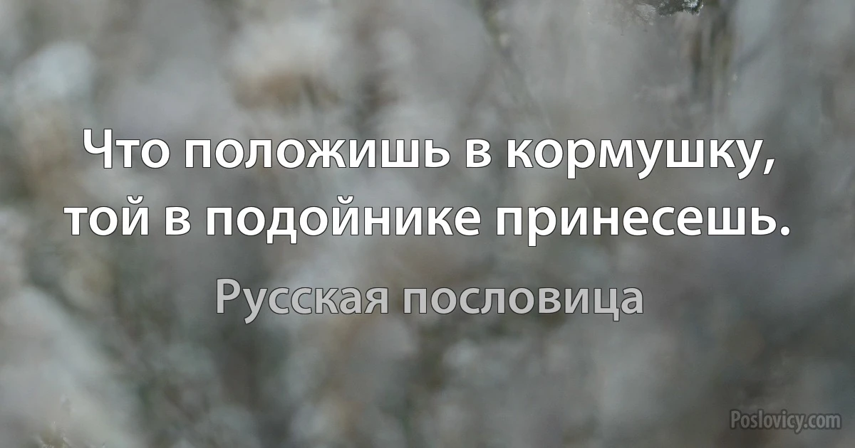 Что положишь в кормушку, той в подойнике принесешь. (Русская пословица)