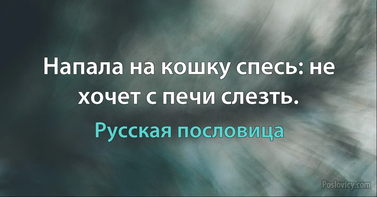 Напала на кошку спесь: не хочет с печи слезть. (Русская пословица)