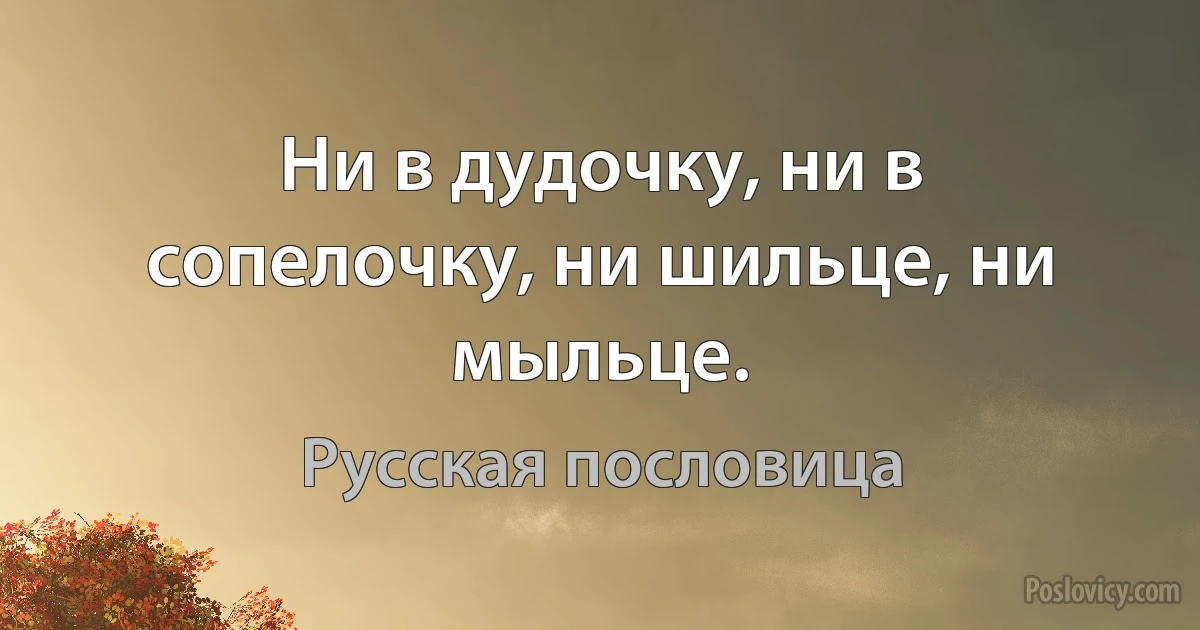 Ни в дудочку, ни в сопелочку, ни шильце, ни мыльце. (Русская пословица)