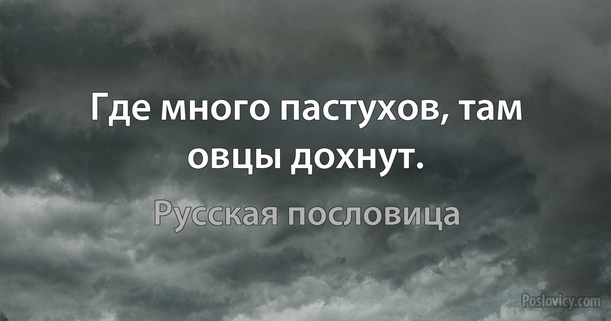 Где много пастухов, там овцы дохнут. (Русская пословица)