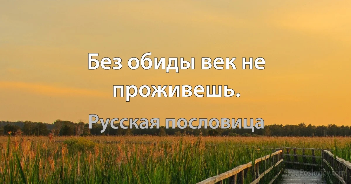 Без обиды век не проживешь. (Русская пословица)