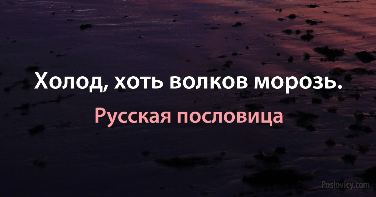 Холод, хоть волков морозь. (Русская пословица)