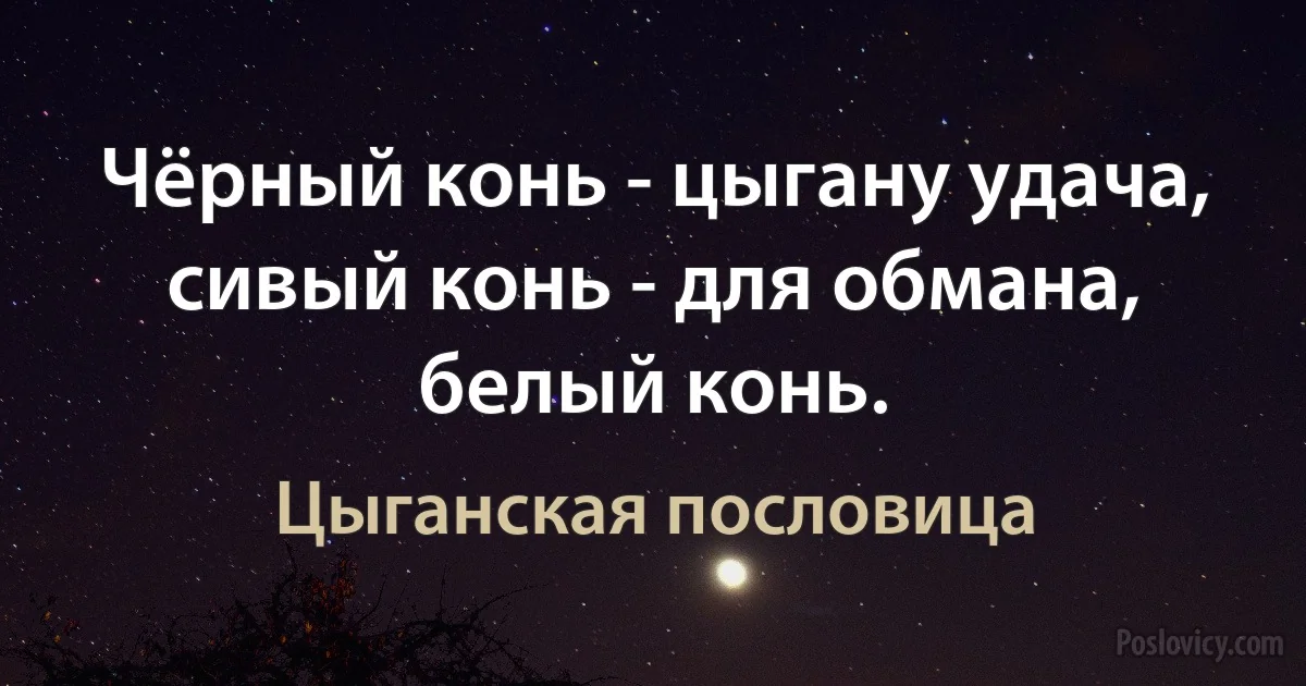 Чёрный конь - цыгану удача, сивый конь - для обмана, белый конь. (Цыганская пословица)