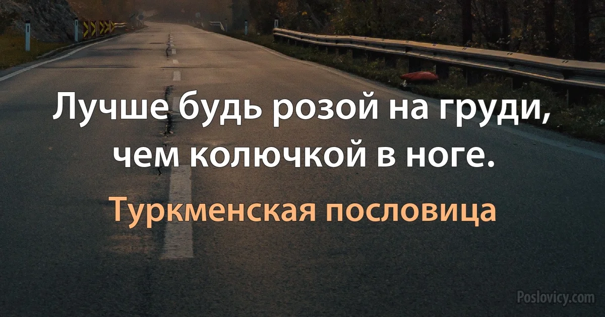 Лучше будь розой на груди, чем колючкой в ноге. (Туркменская пословица)