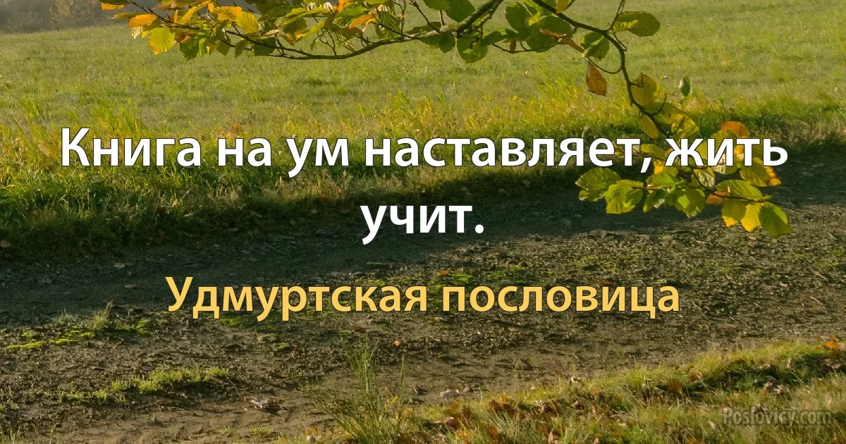 Книга на ум наставляет, жить учит. (Удмуртская пословица)