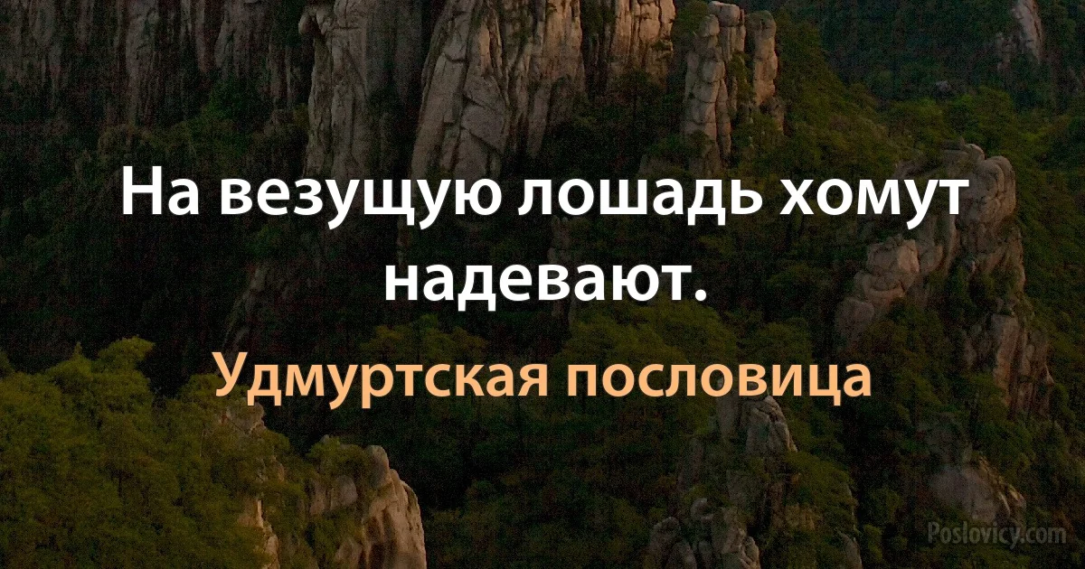 На везущую лошадь хомут надевают. (Удмуртская пословица)