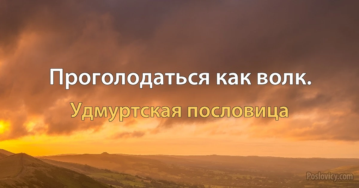 Проголодаться как волк. (Удмуртская пословица)