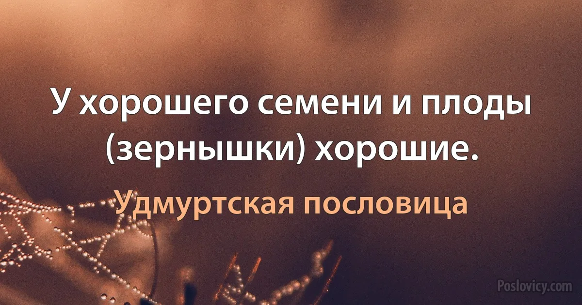 У хорошего семени и плоды (зернышки) хорошие. (Удмуртская пословица)