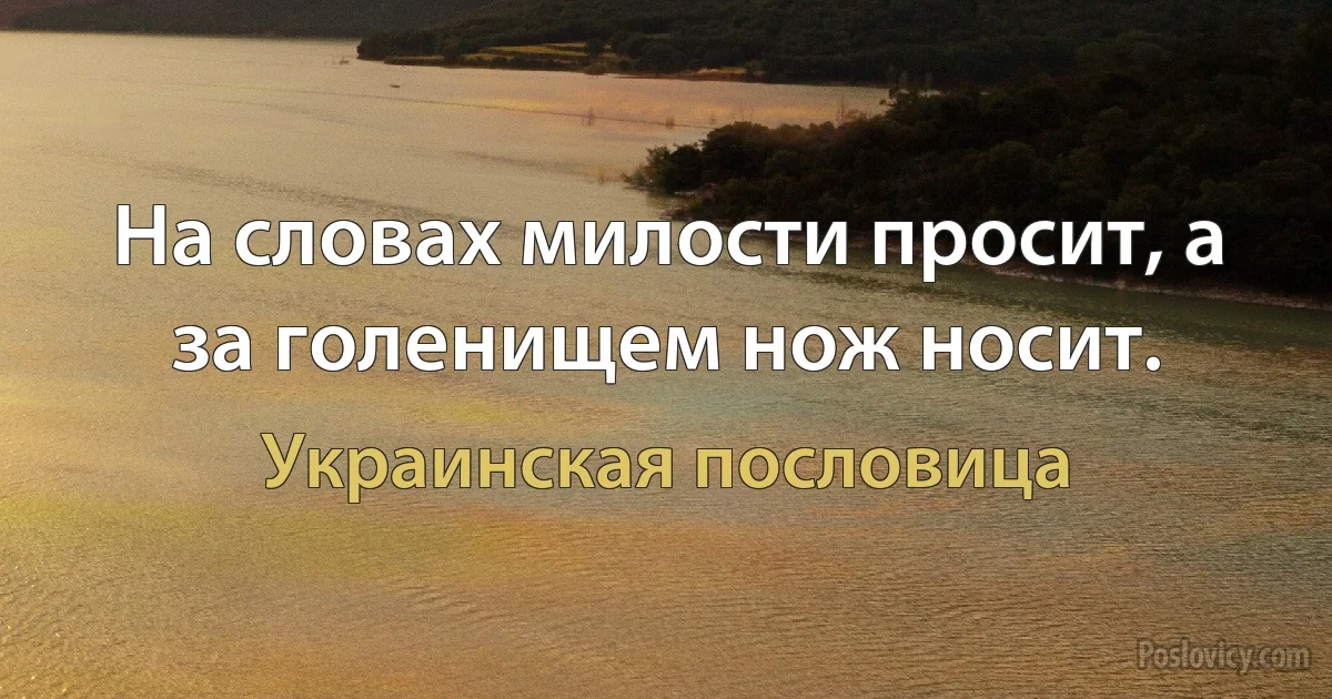 На словах милости просит, а за голенищем нож носит. (Украинская пословица)